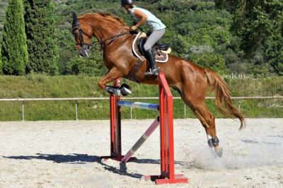 centre-equestre-alpes-maritimes