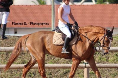 cours-d-equitation-alpes-maritimes