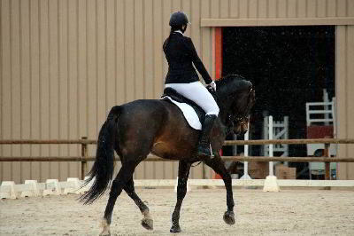 cours-d-equitation-particulier-06