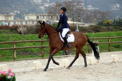 cours-d-equitation-particulier-alpes-maritimes