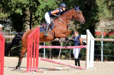 demi-pension-cheval-06