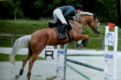 demi-pension-chevaux-alpes-maritimes