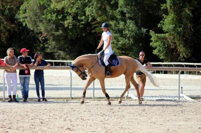 demi-pension-poney-06