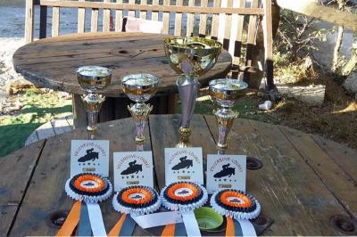 demi-pension-poney-alpes-maritimes