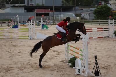 pension-chevaux-alpes-maritimes